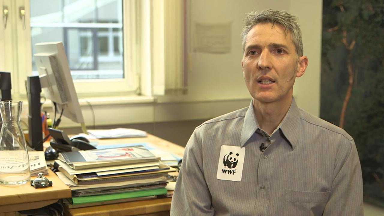 Interview mit Johannes Zahnen, WWF ZDFmediathek
