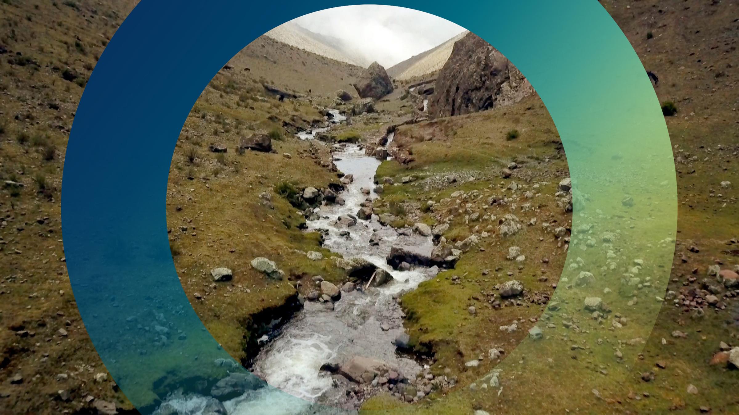 Rinnsaal eines Gebirgsbachs im Hochgebirge