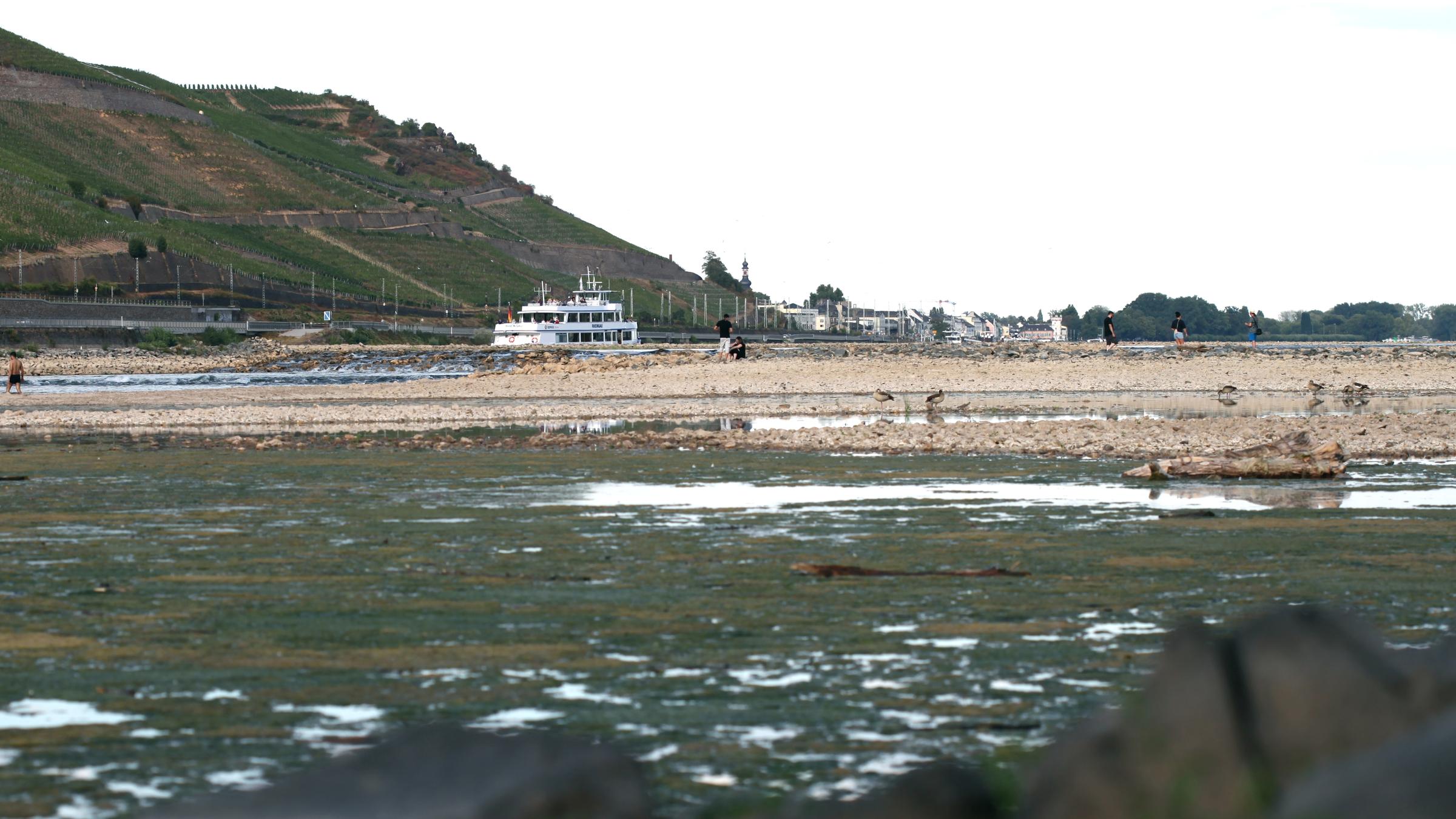 Trockene Uferbereiche des Rheins mit einem Fahrgastsschiff im Hintergrund