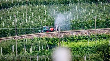 Planet E. - Gegen Gift: Apfelstreit In Südtirol