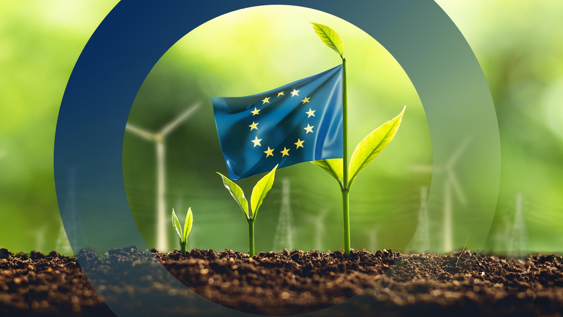 EU Flagge mit Winderädern im Hintergrund