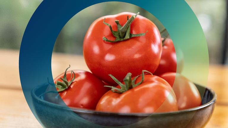 Genuss mit Beigeschmack - Tomaten 