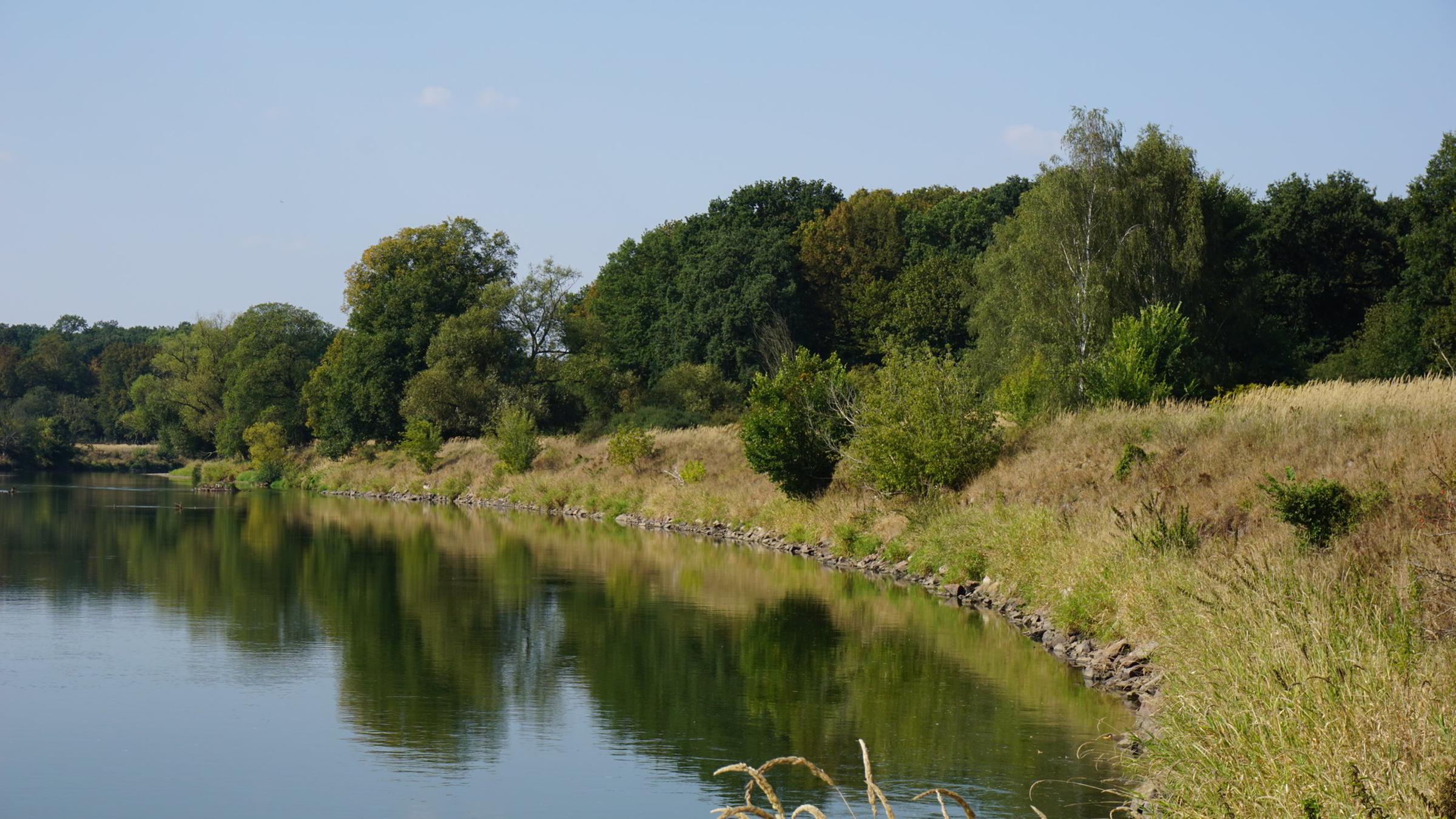 Wilde Mulde - eine Wildflusslandschaft in Mitteldeutschland