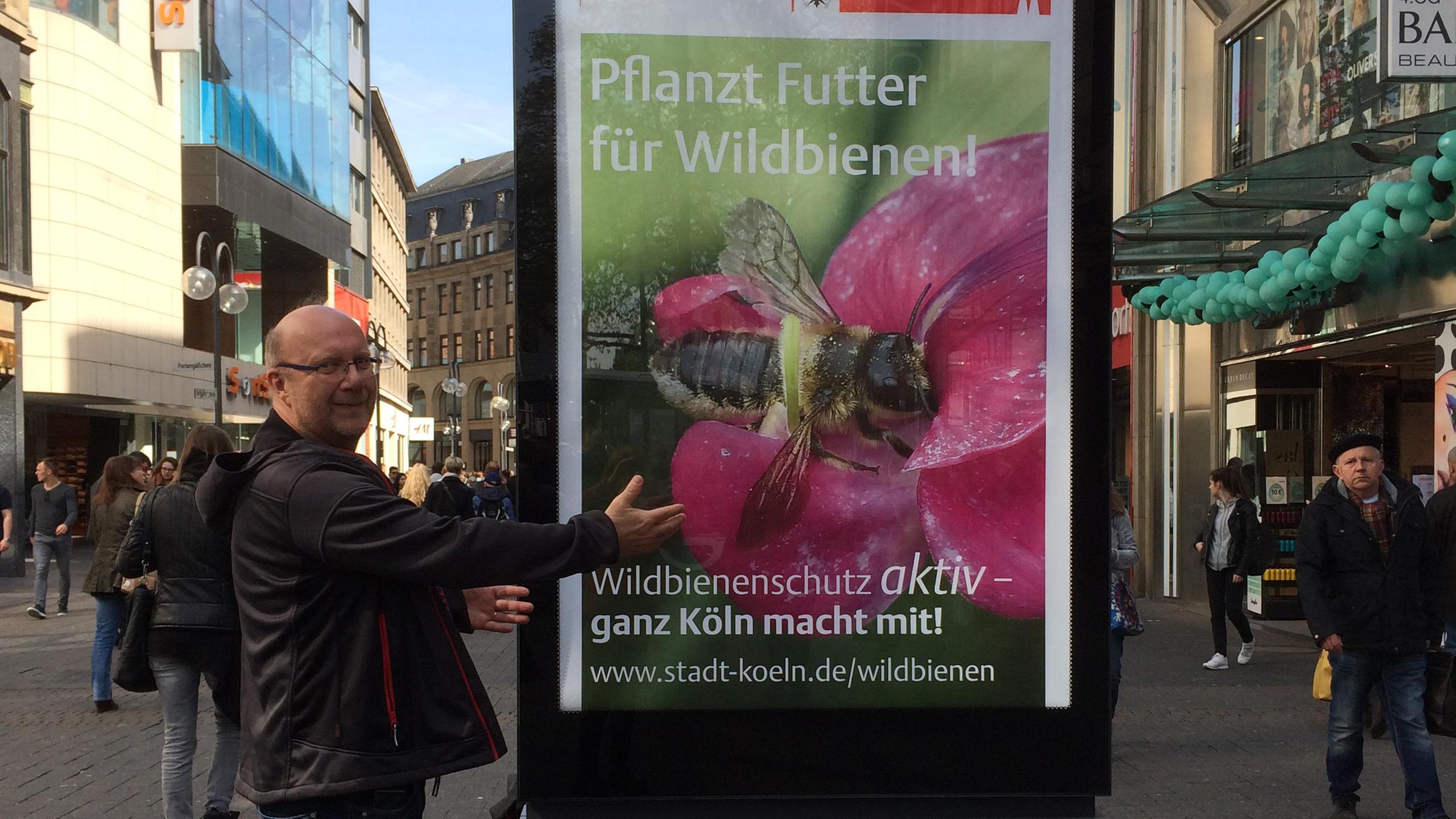 Pflanzt Futter für Wildbienen