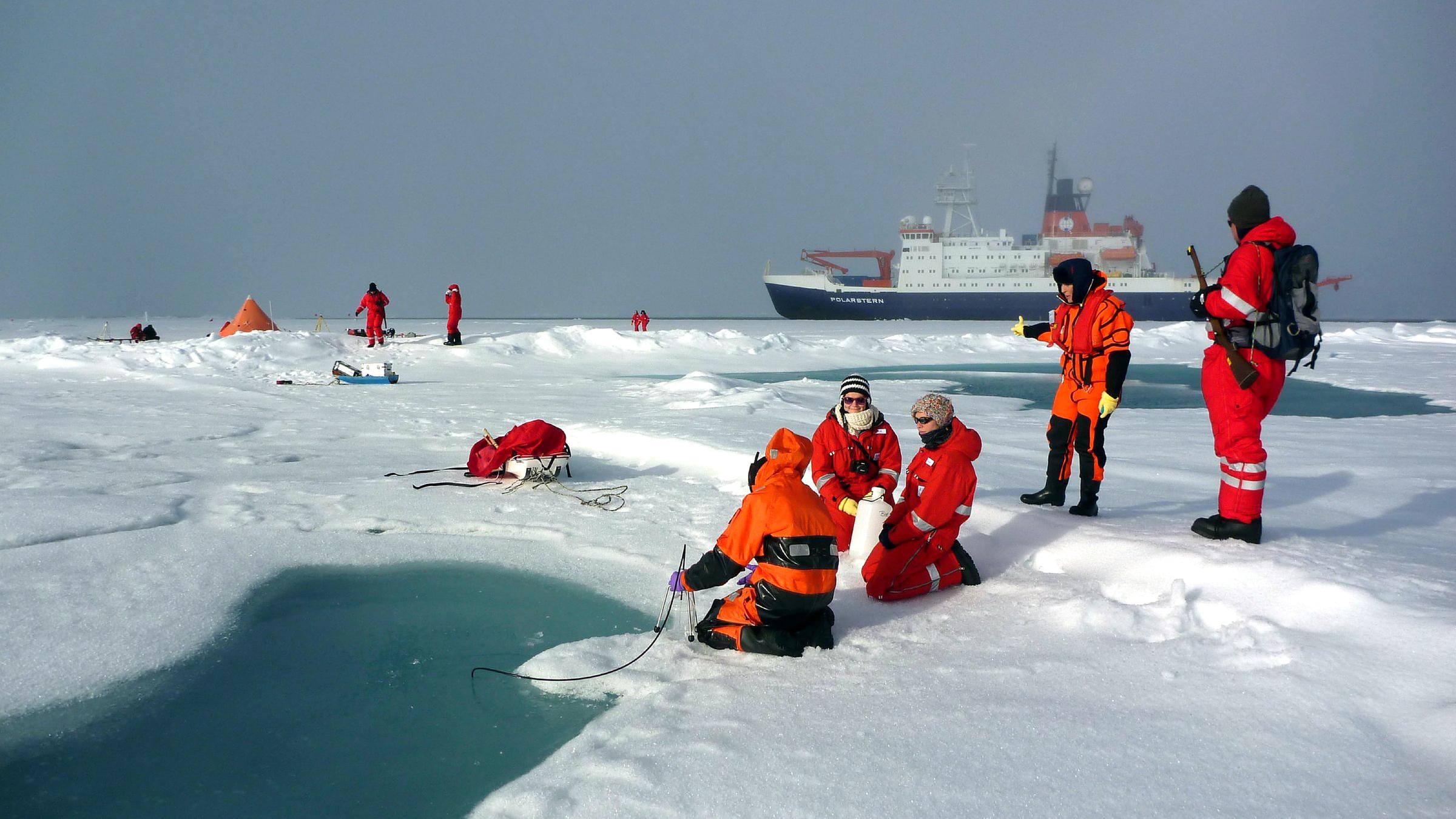 Wissenschaftler des Alfred-Wegener-Instituts nehmen Schneeproben auf dem Meereis in der Arktis