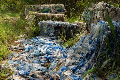 Plastikmüll - die globale Umweltkatastrophe