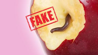 Wie kommt der Wurm in den Apfel?