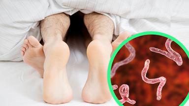 Wie Parasiten unser Leben beeinflussen 