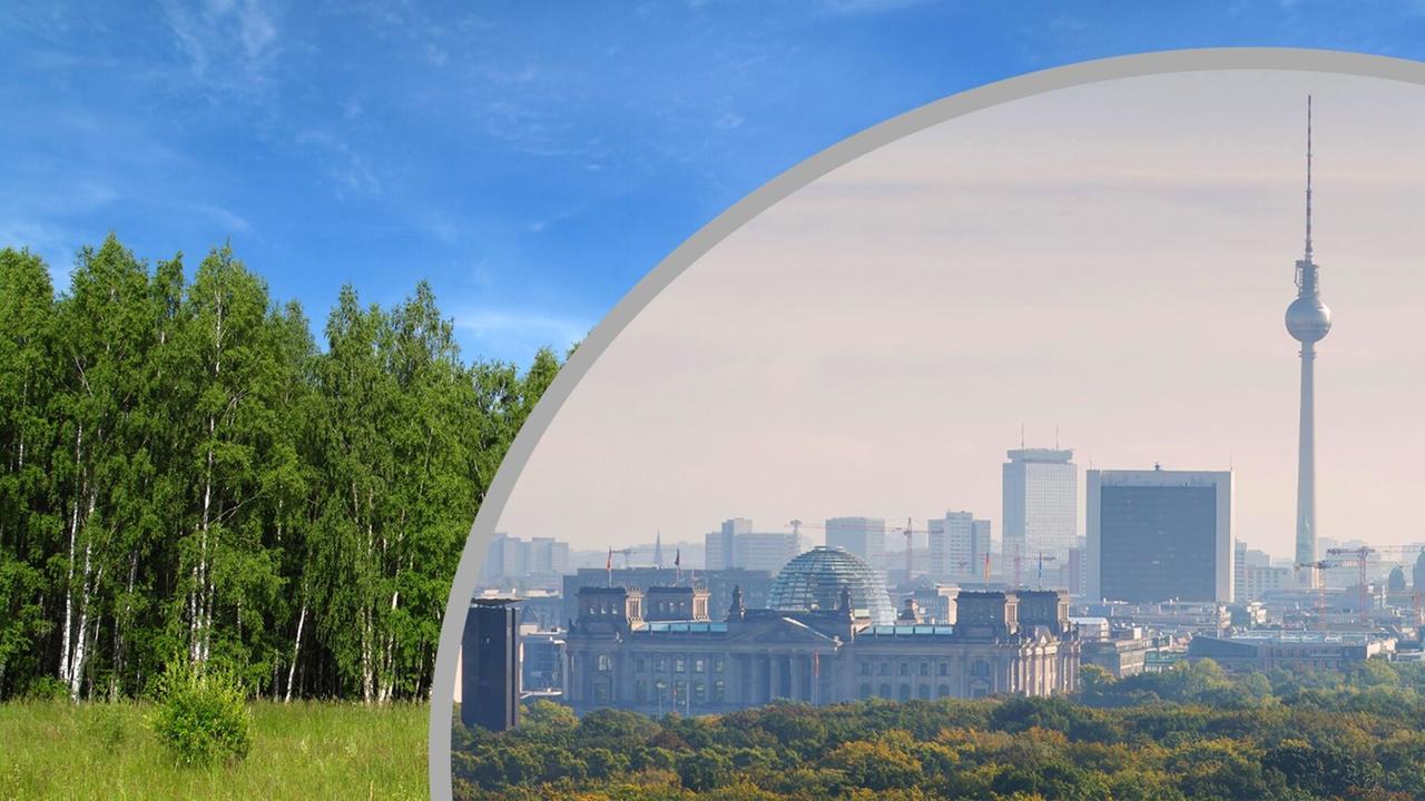 Was macht das Ökosystem “Stadt” so besonders?