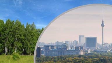 Was macht das Ökosystem “Stadt” so besonders?