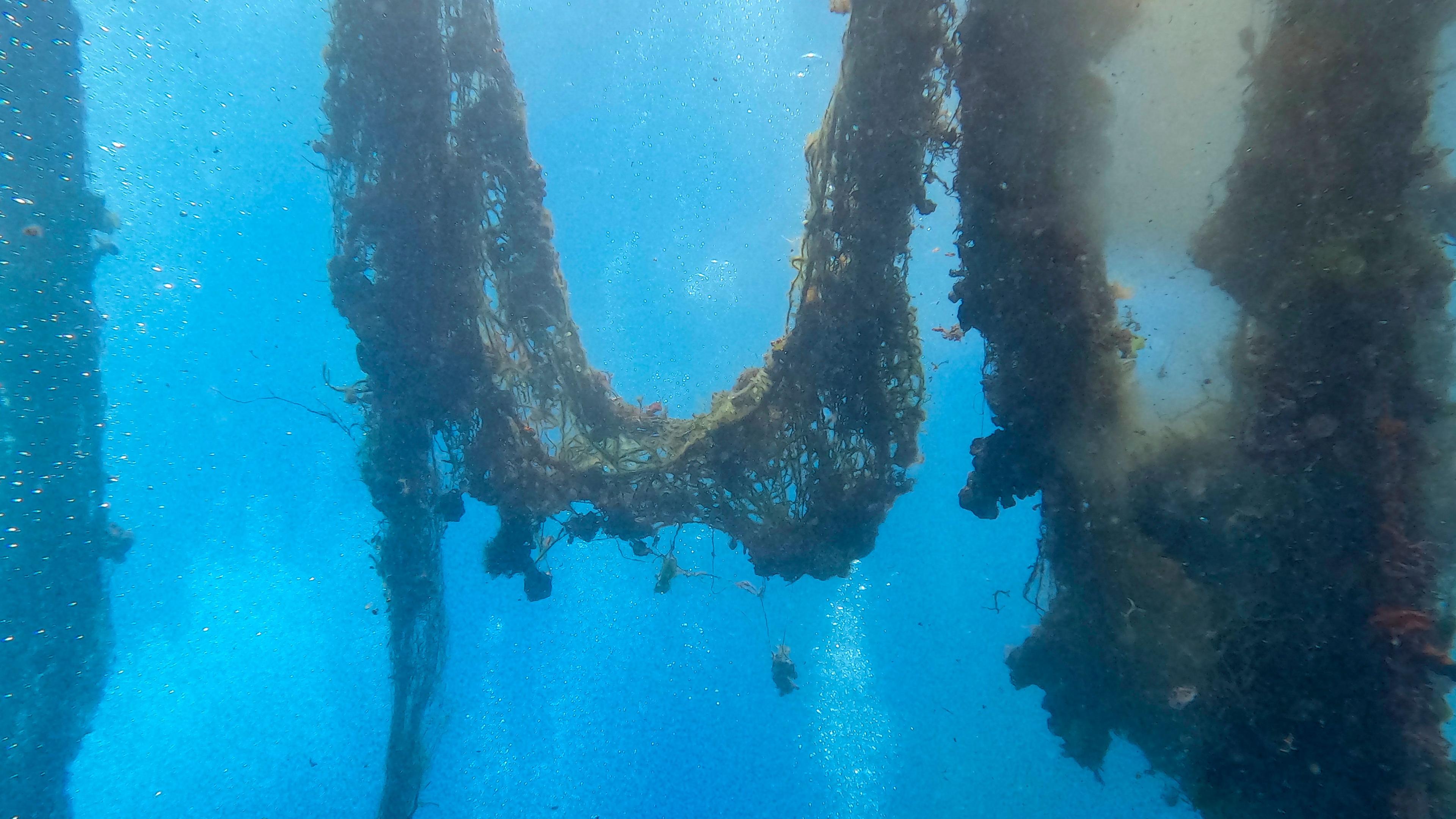 Ein verloren geganges Fischernetz treibt im Meer. 