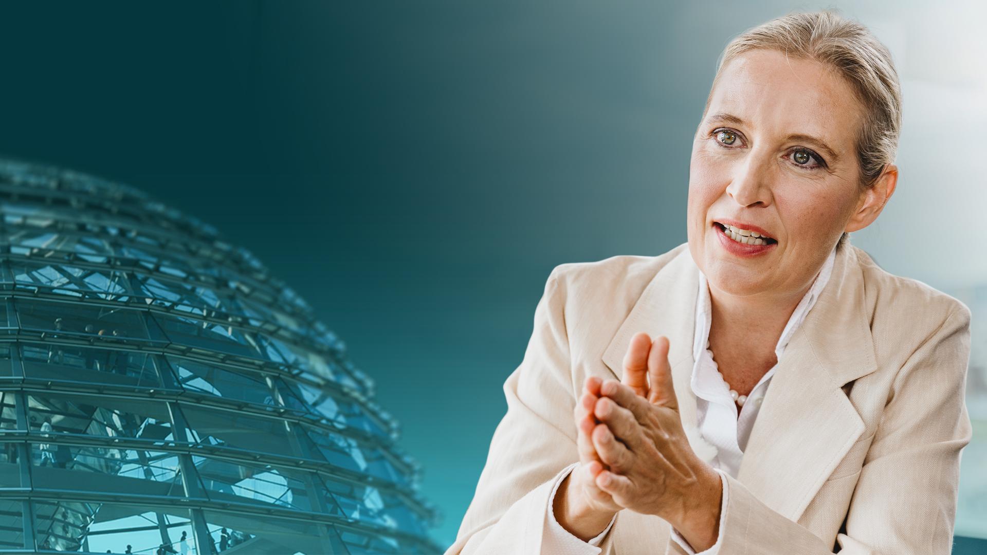 AfD-Chefin Alice Weidel im ZDF-Sommerinterview