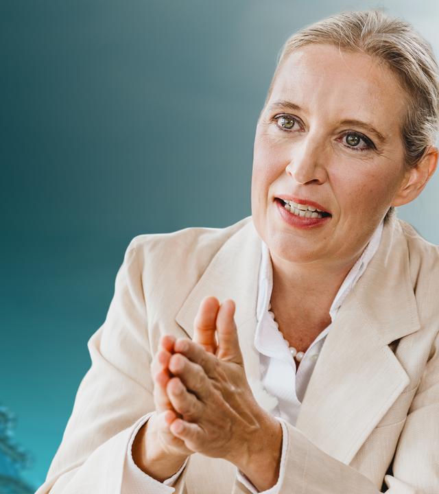 AfD-Chefin Alice Weidel im ZDF-Sommerinterview