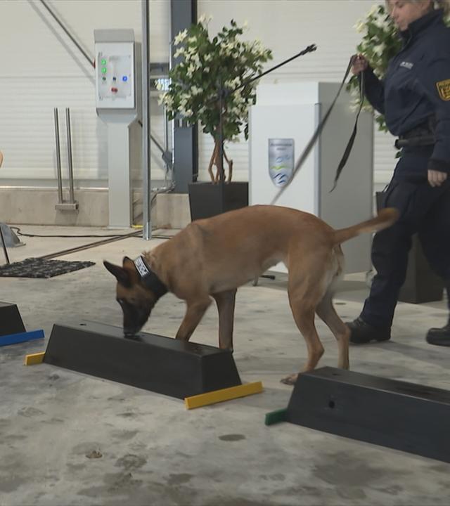 Auf dem Bild sieht man einen Polizei-Spürhund.