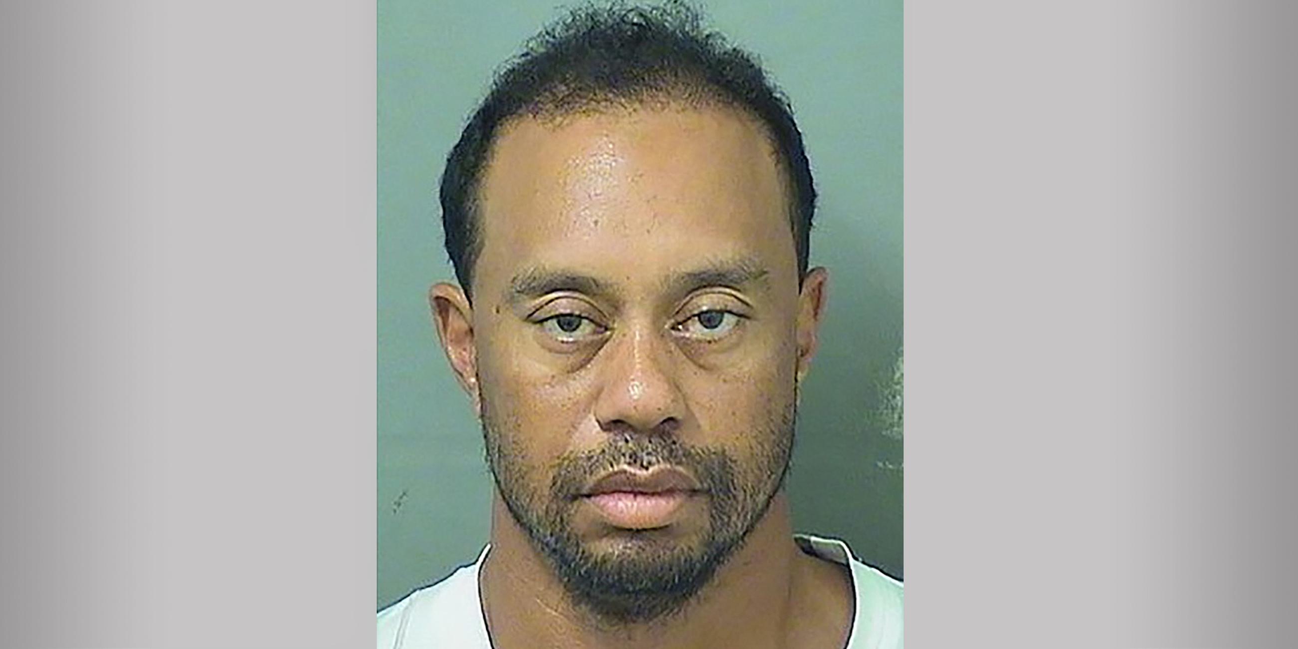 Polizeifoto Tiger Woods