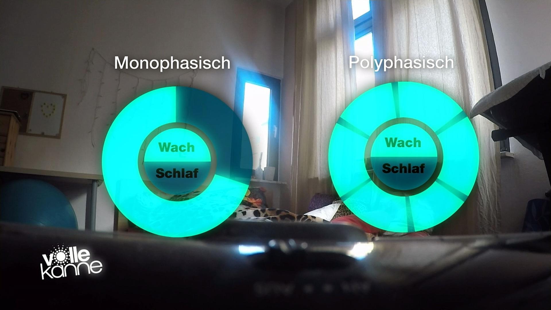 Monophasisch und polyphasicher Schlaf als Diagramm dargestellt