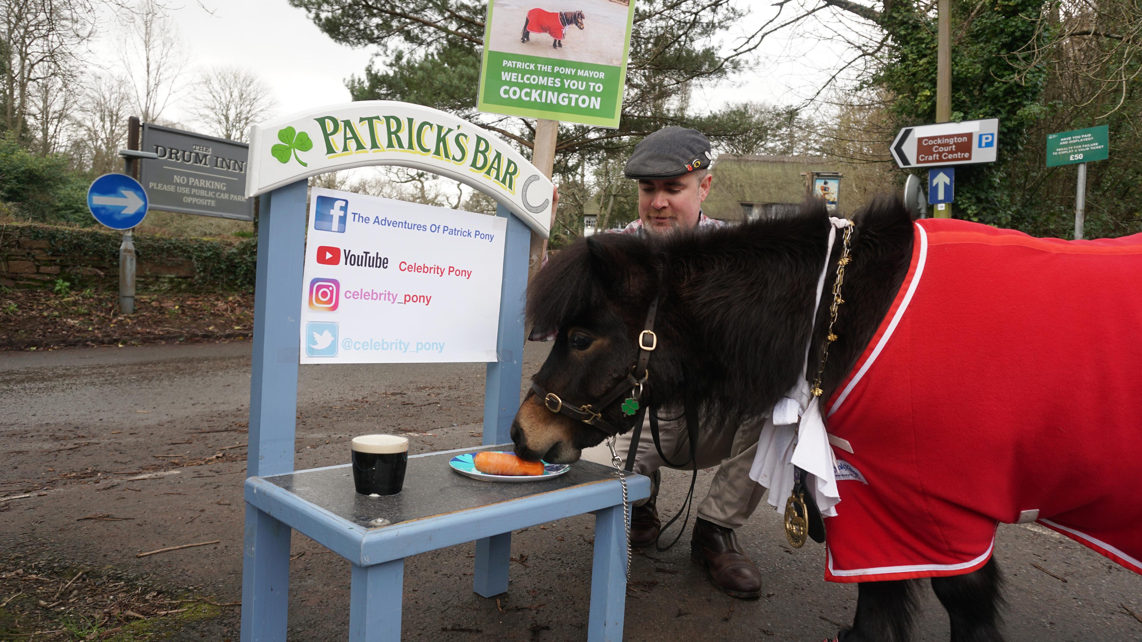 Das Shetland-Pony Patrick, inoffizieller Bürgermeister des englischen Dorfes Cockington, futtert an seiner mobilen, hellblauen «Patrick·s Bar» eine Karotte und nimmt einen Schluck Guiness