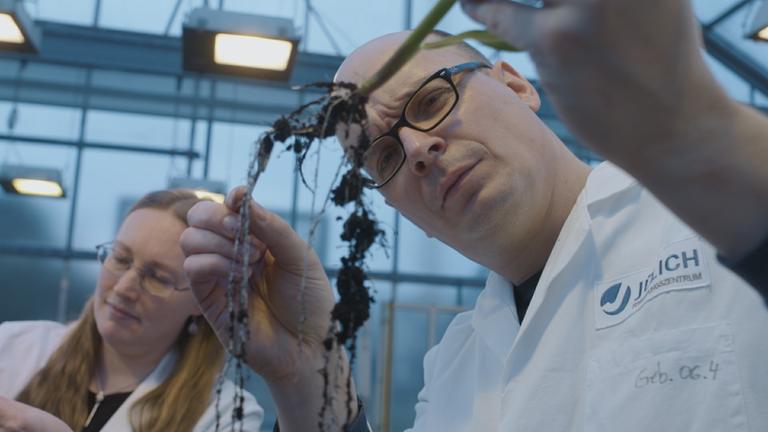 "WissenHoch2: Weltretter Wurzeln - das Wunder unter der Erde (3sat)": Wissenschaftler*innen des Forschungszentrums Jülich bei der Arbeit.