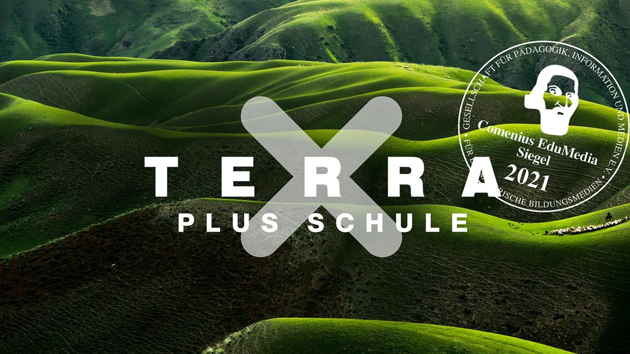 Logo "Terra X plus Schule" mit Comenius-EduMedia-Siegel
