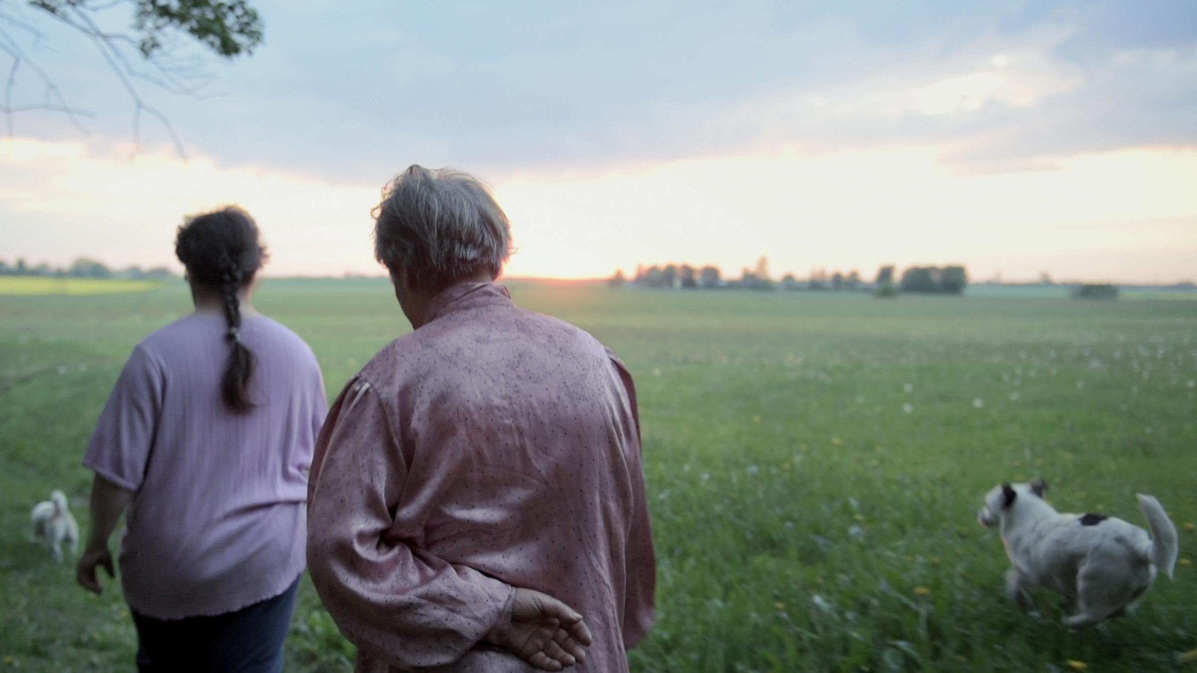 "Bucolic" (3sat): Ein älterer Mann und eine ältere Frau laufen in der Dämmerung hintereinander über eine große Wiesenfläche. Der Mann hat die linke Hand auf dem Rücken. Sie werden von zwei kleinen Hunden begleitet.