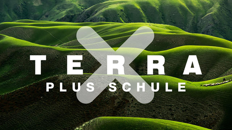 Keyvisual "Terra X Plus Schule"