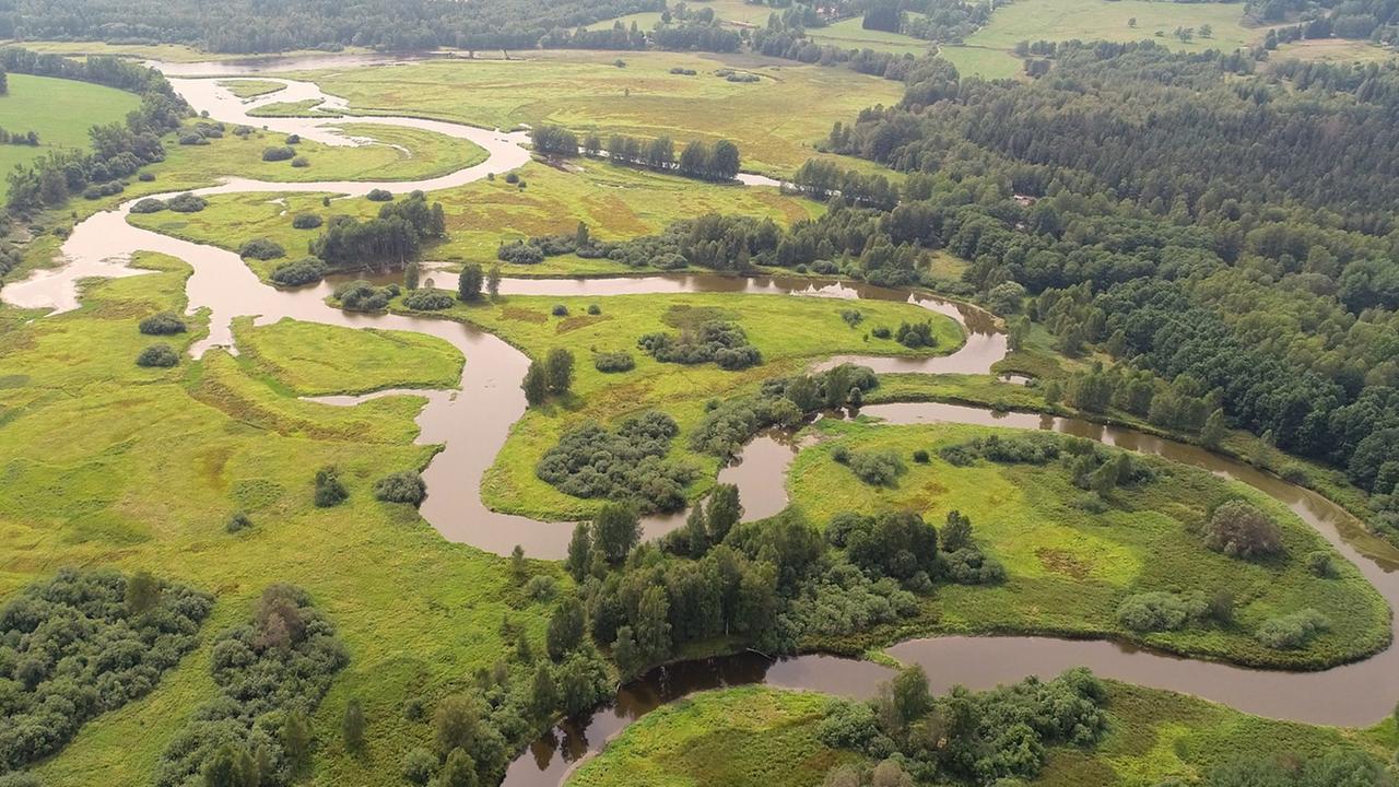 "Die Moldau - Der goldene Fluss": Lufaufnahme des Quellgebietes der Moldau im Böhmerwald