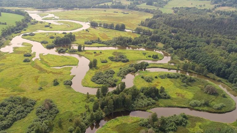 "Die Moldau - Der goldene Fluss": Lufaufnahme des Quellgebietes der Moldau im Böhmerwald