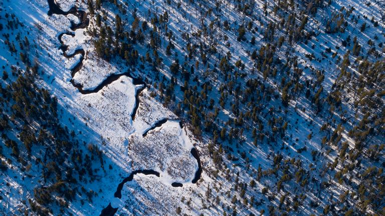 "Borealis - Die Wälder des Nordens": Luftaufnahme der borealischen Schneefläche in der Nähe des Red Lakes