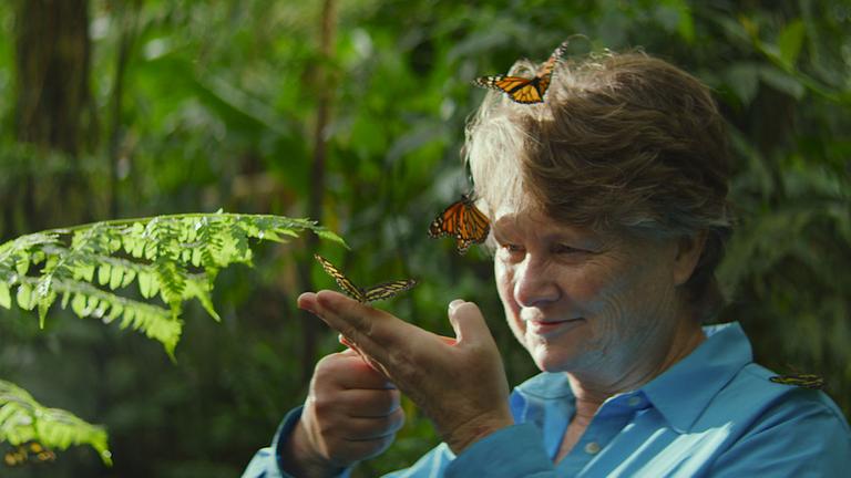 "Going Circular - Kreislauf des Lebens"
