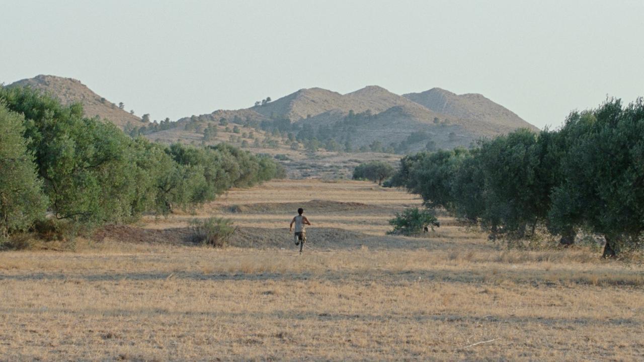 "HARKA-AUFRUHR": In einer Landschaft mit vertrocknetem Gras, Bäumen und Bergen im Hintergrund läuft ein Mann zwischen zwei Baumreihen in Richtung Horizont.