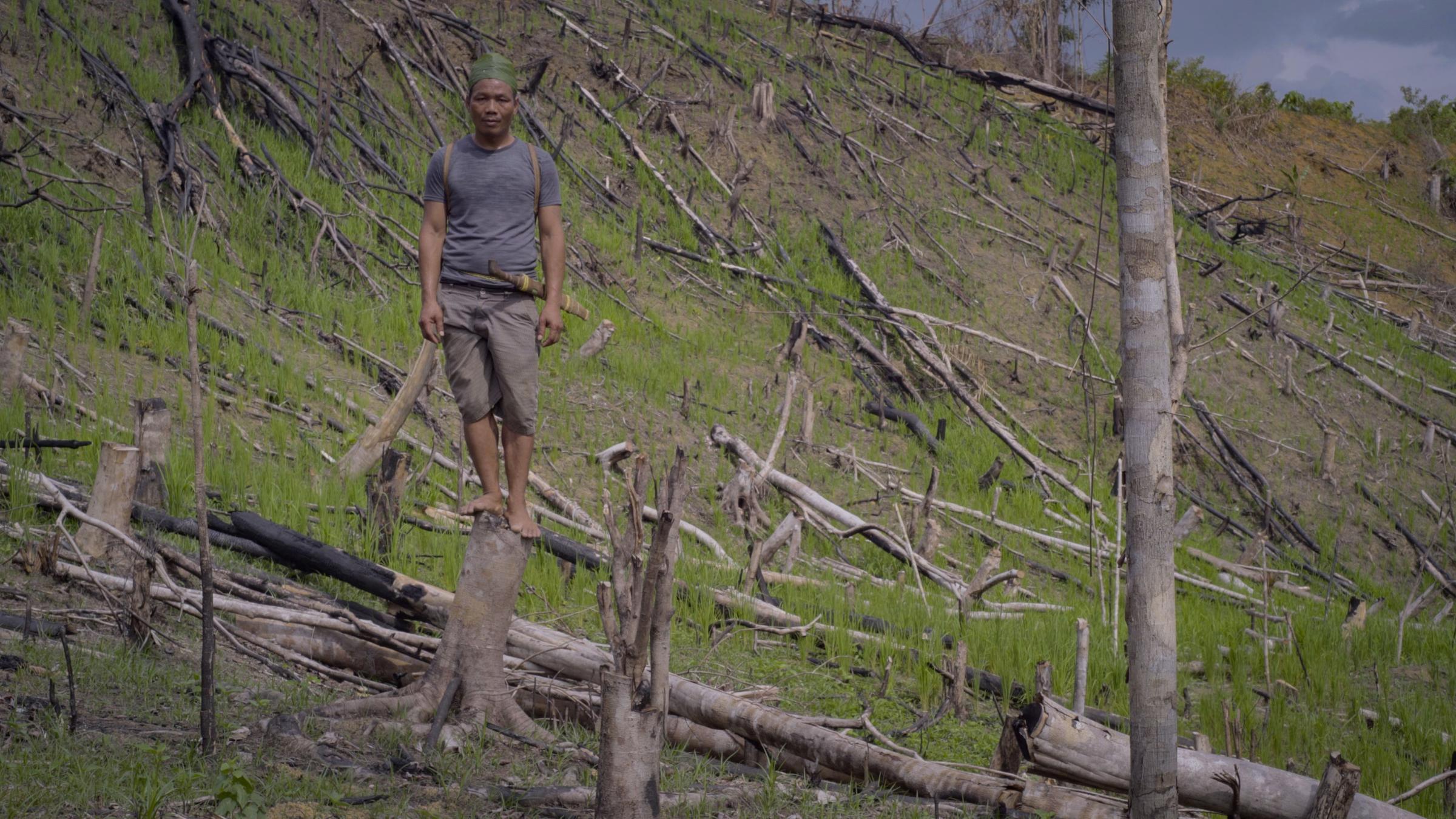 "Der verschwundene Wald (ZDF/ARTE)": Ein junger Mann in kurzer Hose, T-Shirt und Kopftuch steht auf einem toten Baumstumf in einem Berghang zwischen gefällten Bäumen. 