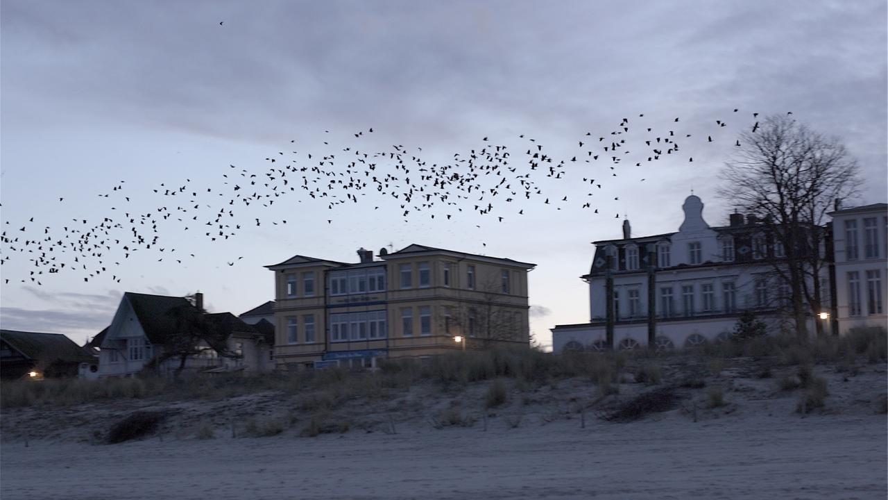"Zwischensaison": Hotelfassade am Strand von Bansin