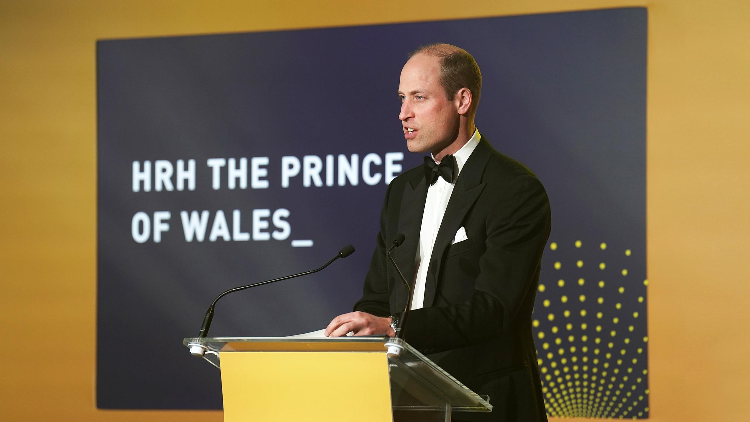Prinz William  bei einer Verleihung 