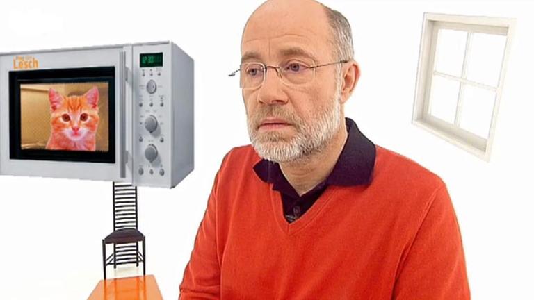 Prof Harald Lesch, eine Mikrowelle und eine Katze
