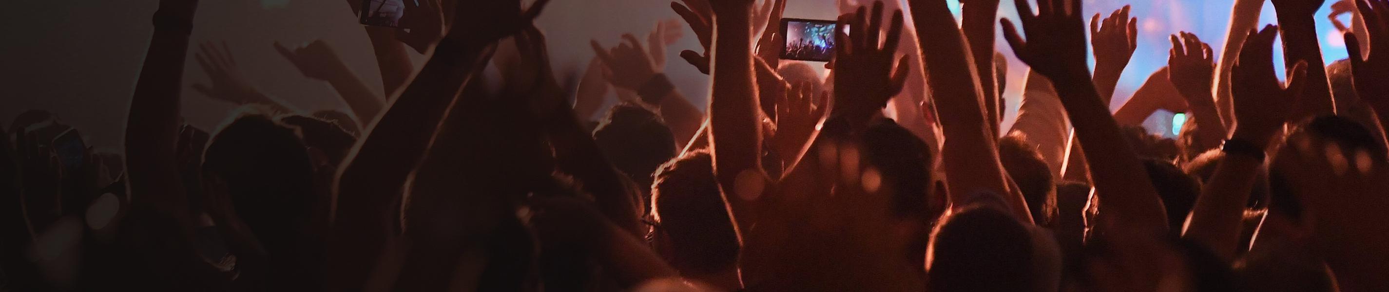 Jubelndes Publikum bei Popkonzert