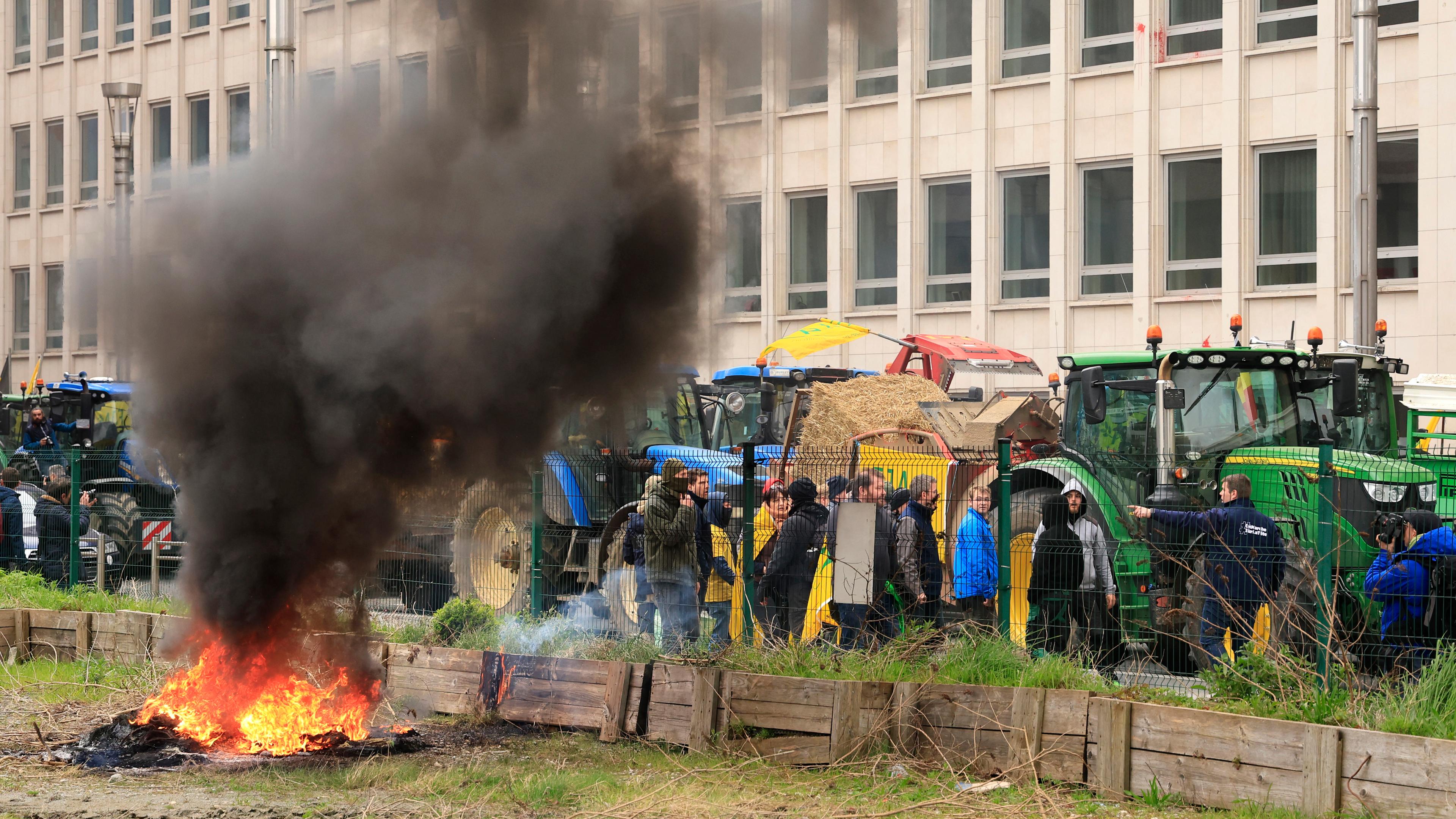 Bauern protestieren in Brüssel gegen die EU-Politik.