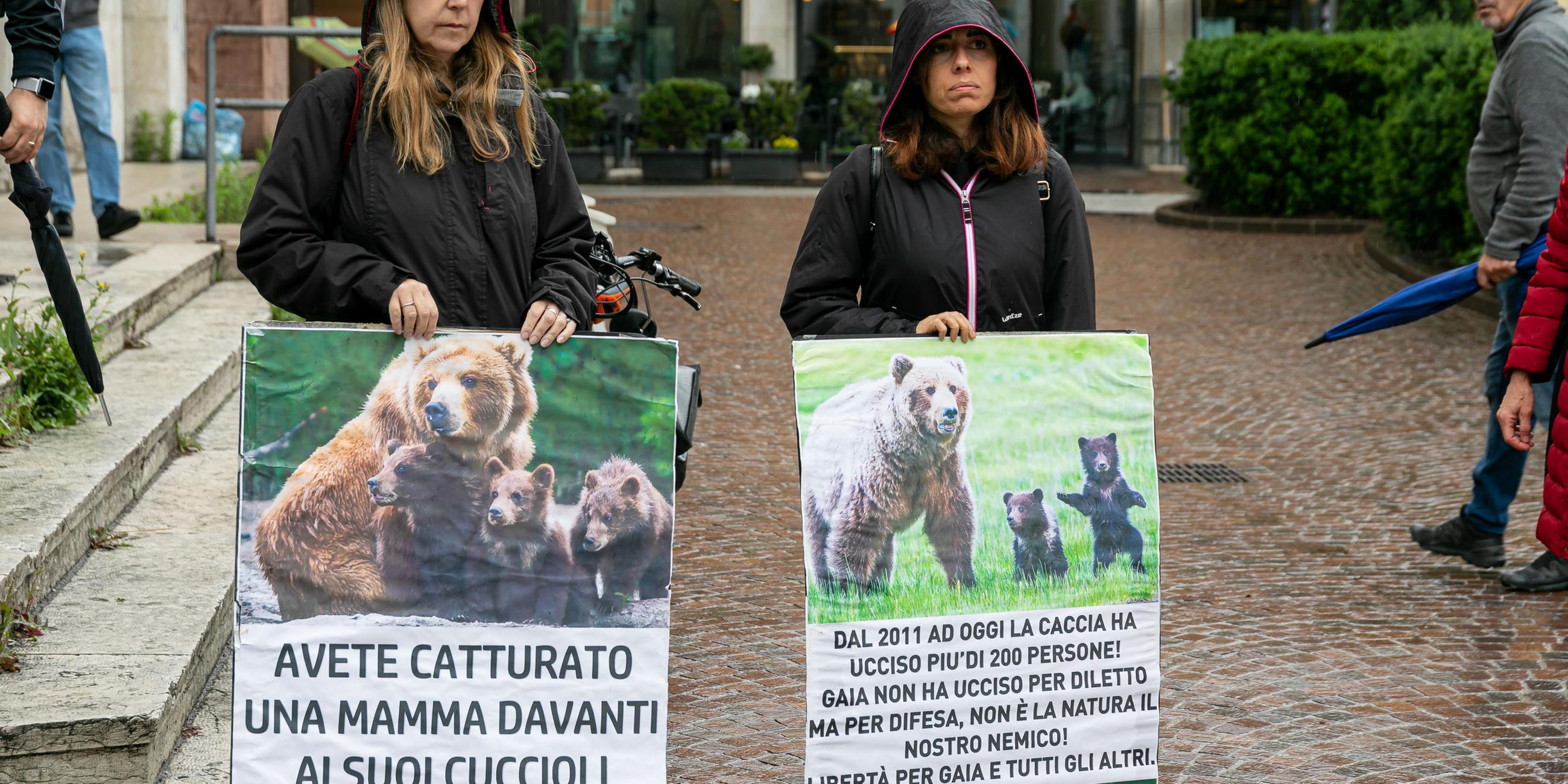Tierschützer demonstrieren für Bärin JJ4.