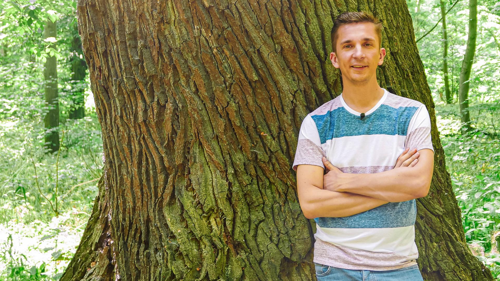 Bild für Bäume retten Leben!