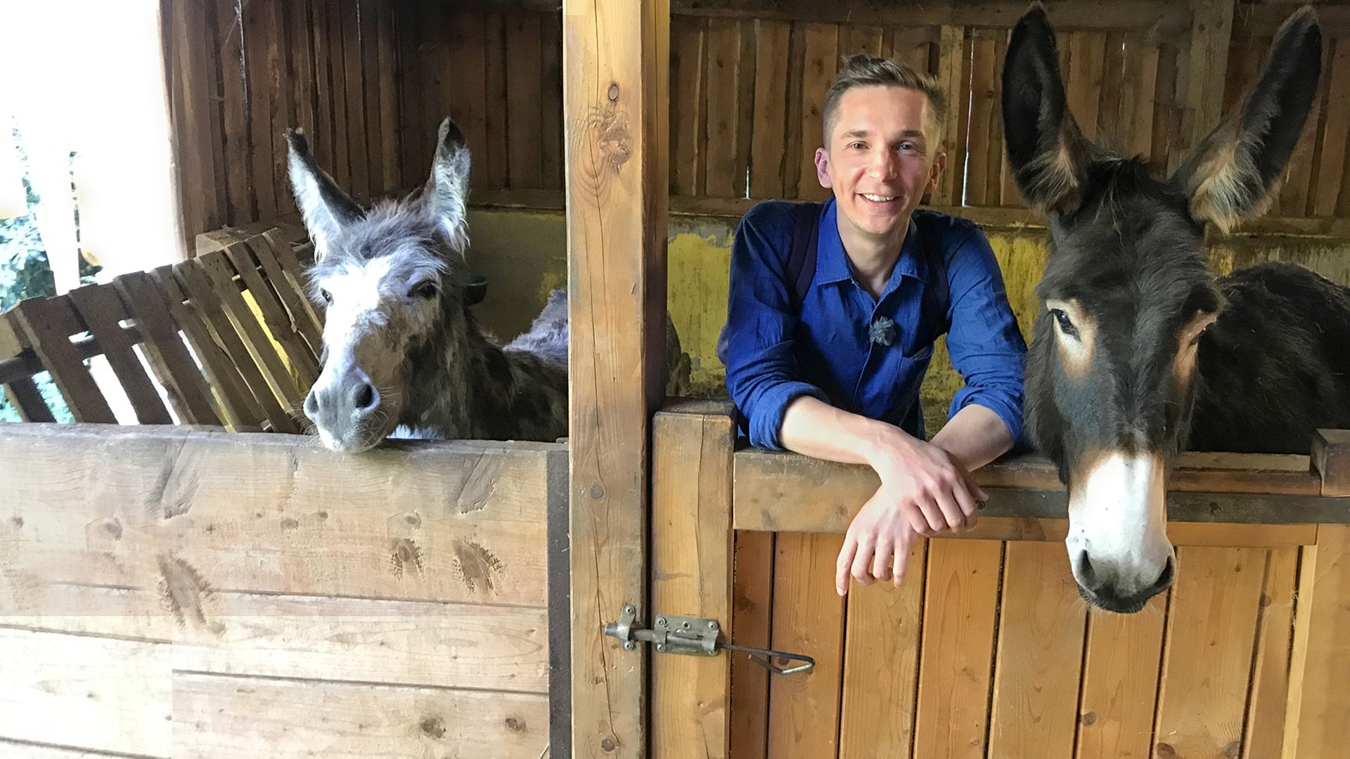PUR+ Moderator Eric Mayer steht in einem Stall und lehnt an der Brüstung. Rechts und links von ihm steht je ein Esel.