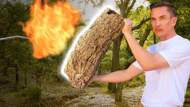 Die Superkräfte der Bäume 