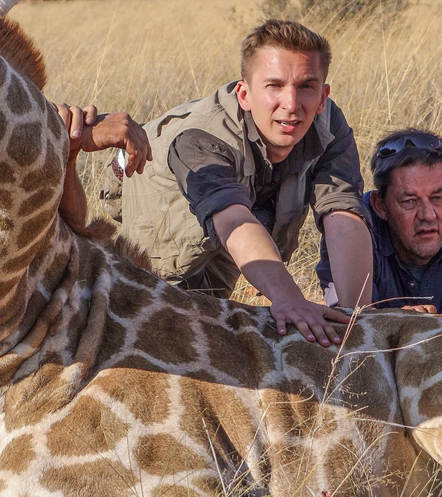 Zusammen mit zwei weiteren Männern versucht Eric, eine Giraffe anzuschieben, die auf dem Savannenboden sitzt. Die Giraffe hat die Augen verbunden.