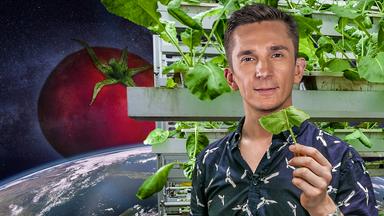 Ernährung der Zukunft - Tomaten im Weltall