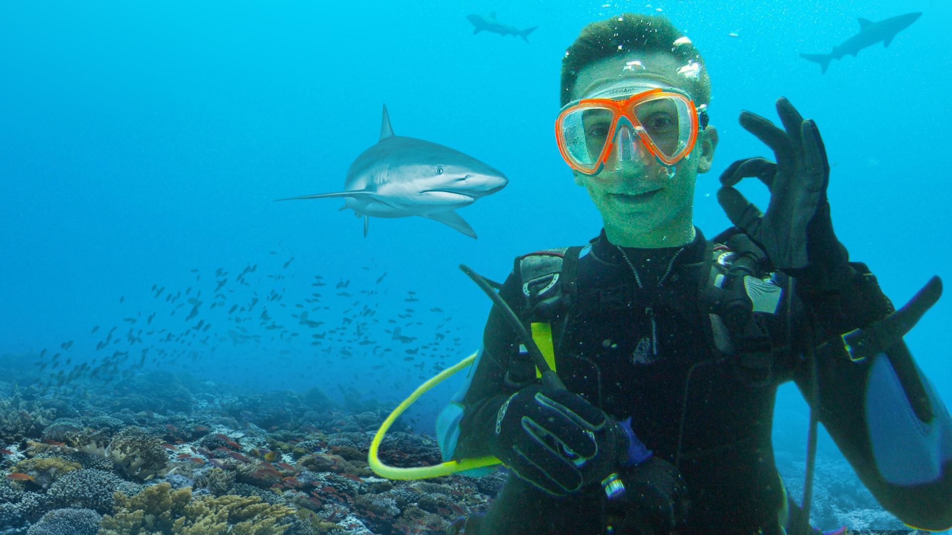 PUR+ - Moderator Eric Mayer blickt unter Wasser im Taucheranzug mit Brille, Atemmaske und Atemgerät auf dem Rücken in die Kamera. Mit der linken Hand macht er das Zeichen, dass alles in Ordnung ist. Im Hintergrund sehen wir eine Unterwasser-Landschaft mit bemosten Felsen, einem Fischschwarm und einem Hai. 