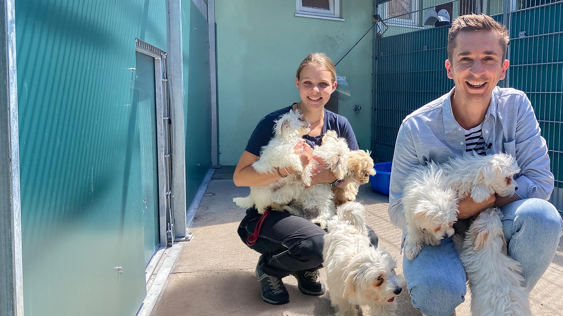 Moderator Eric Mayer und Tierpflegerin Anna sitzen nebeneinander in der Hocke in einem Tierheimzwinger und schauen beide in die Kamera. Anna hat drei Welpen auf dem Arm, Eric zwei.