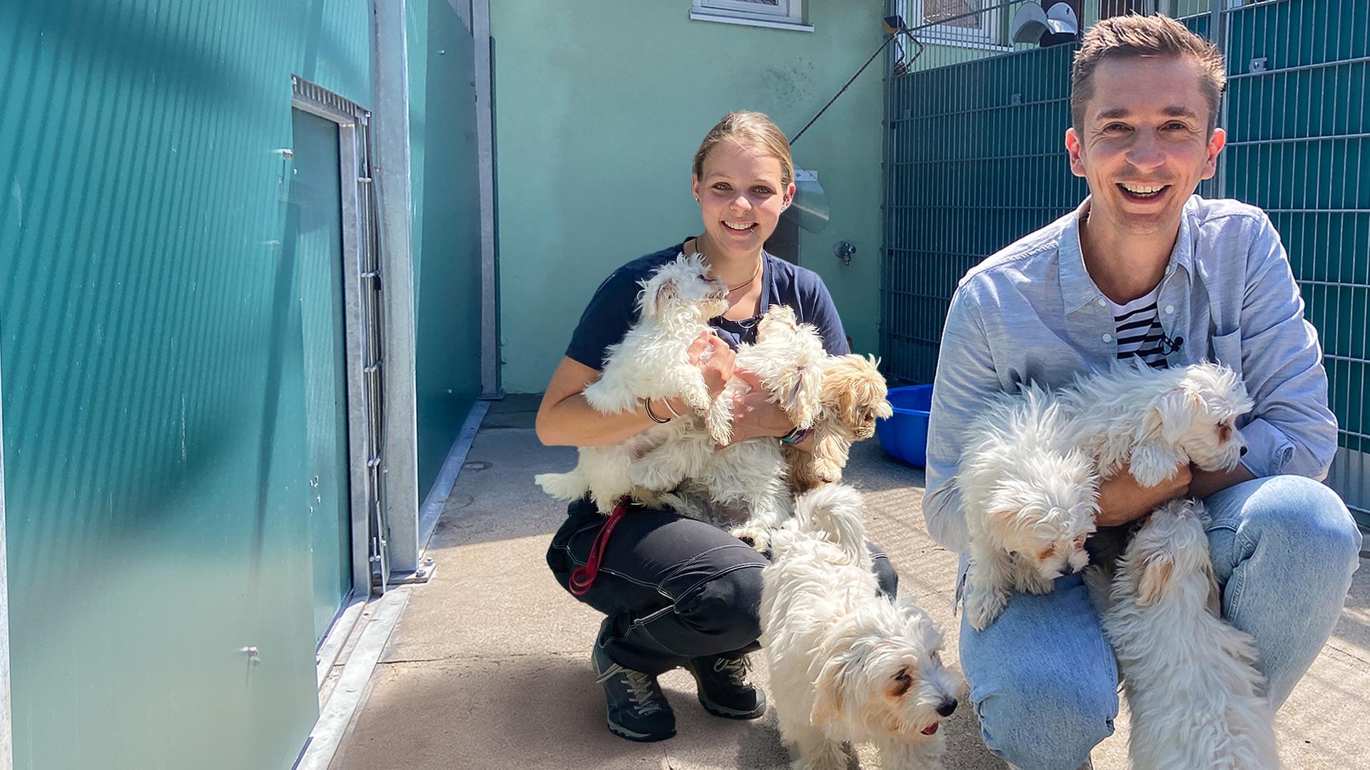 Moderator Eric Mayer und Tierpflegerin Anna sitzen nebeneinander in der Hocke in einem Tierheimzwinger und schauen beide in die Kamera. Anna hat drei Welpen auf dem Arm, Eric zwei.