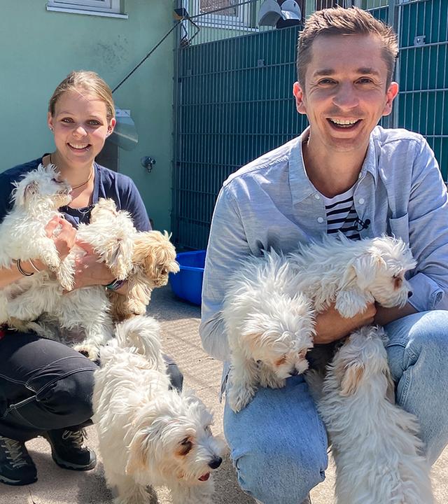 Moderator Eric Mayer und Tierpflegerin Anna sitzen nebeneinander in der Hocke in einem Tierheimzwinger und schauen beide in die Kamera. Anna hat drei Welpen auf dem Arm, Eric zwei.