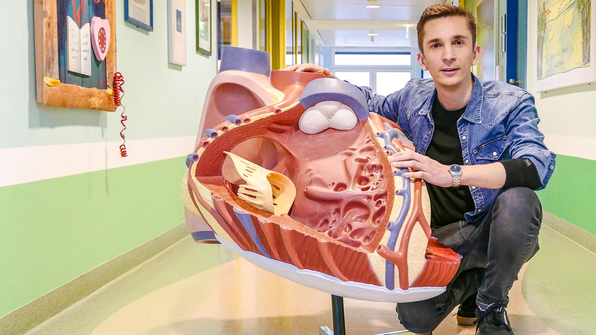 PUR+-Moderator Eric Mayer kniet neben einem überdimensionalen 3-D-Modell einer Herzkammer auf einem Krankenhausflur.