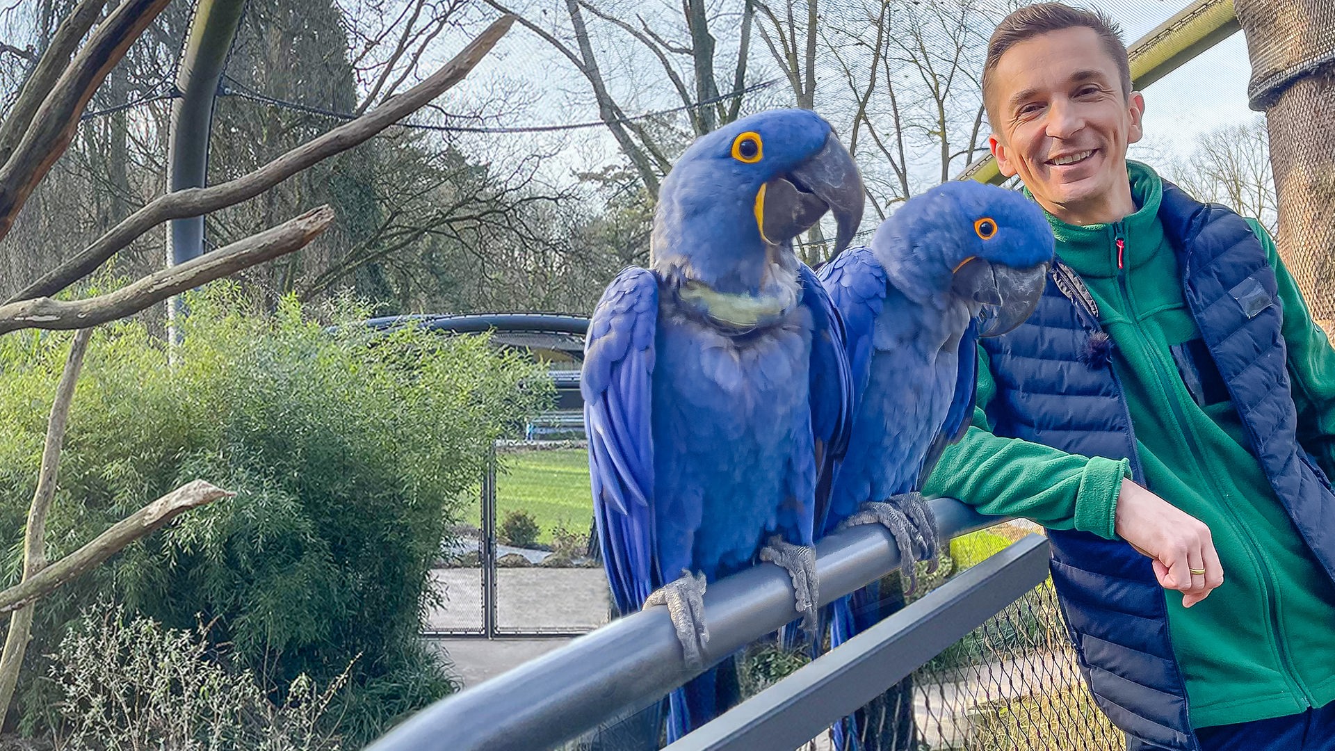 PUR+ - Papagei sucht Liebe