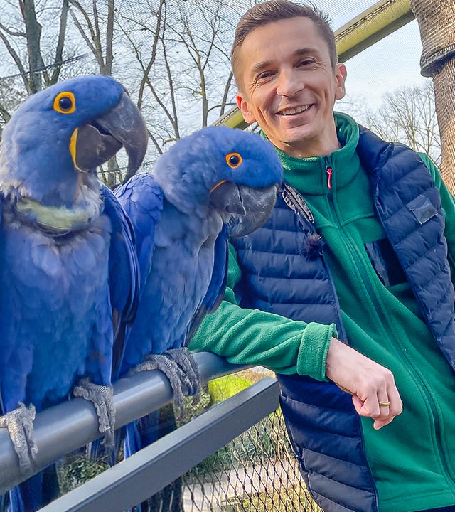 PUR+ - Papagei sucht Liebe