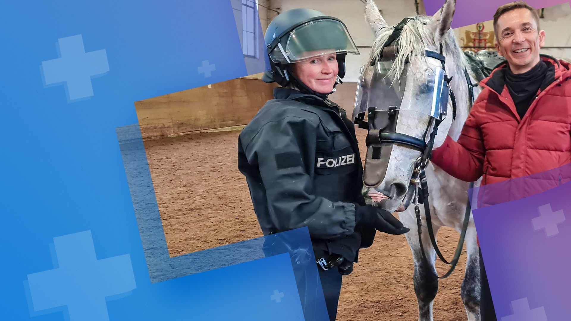 Bild für Polizeipferde - Einsatz auf vier Hufen